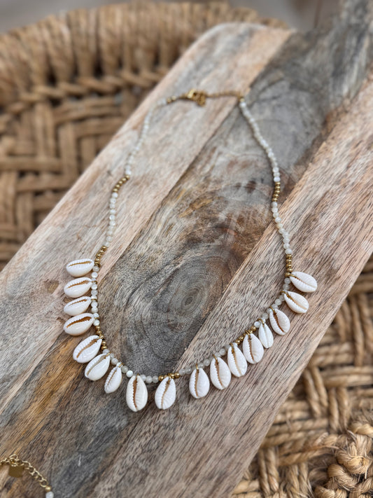 COLLIER COQUILLAGES 🐚